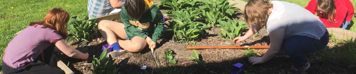 Volunteers picking up weeds in a vegetable garden.