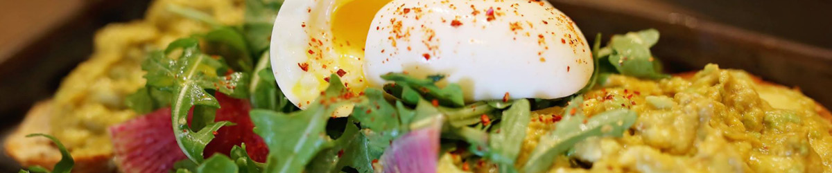 An open faced sandwich with arugula eggs and avocado spread.