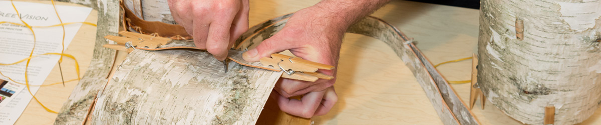 A person working on birch bark crafting.