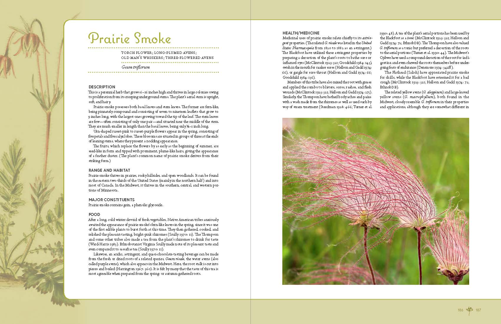 Edible & Medicinal Wild Plants of the Midwest Minnesota Historical Society