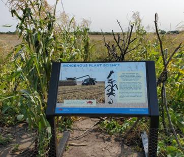 Native American Garden.