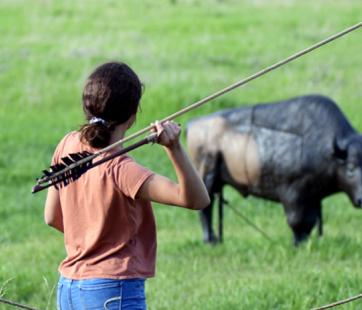 Atlatl.