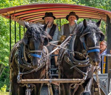 Fall Horse Drawn Trolley Program Forest History Center