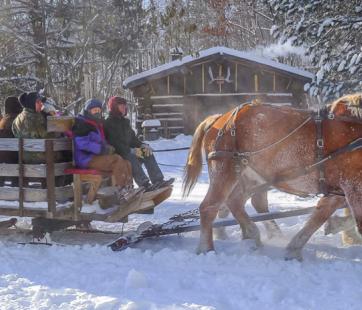 Christmas in the Logging Camp Forest History Center