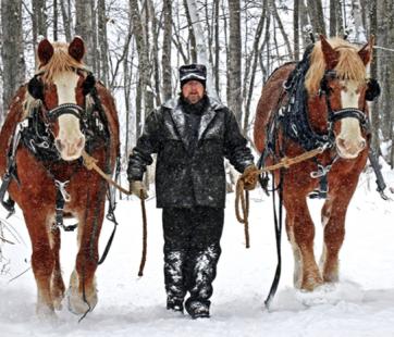 Winter Horse-Drawn Sleigh Rides at the Forest History Center