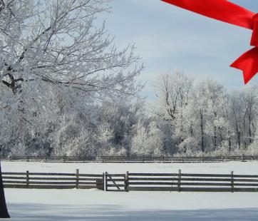 Christmas on the Farm
