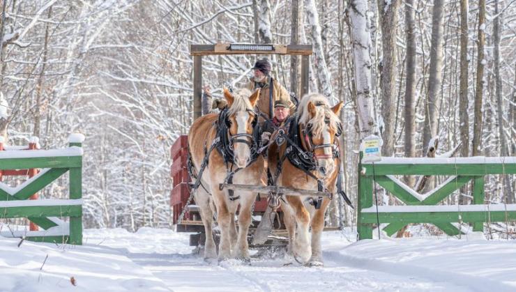 Winter Sleigh Rides Forest History Center